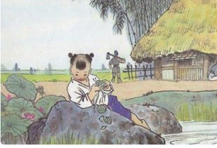 相思蓮的詩(shī)句古詩(shī)