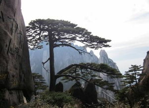 關(guān)于對山的贊美的詩(shī)句是什么