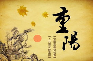 重陽(yáng)節重陽(yáng)節詩(shī)句古詩(shī)