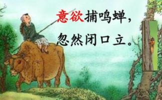 學(xué)識,詩(shī)句,才華,形容
