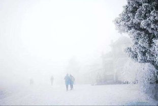 關(guān)于雪的詩(shī)句300首