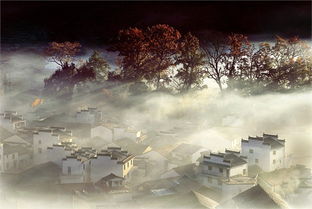 有意境的古詩(shī)句,意境優(yōu)美的古詩(shī)句,關(guān)于逍遙灑脫的古詩(shī)句