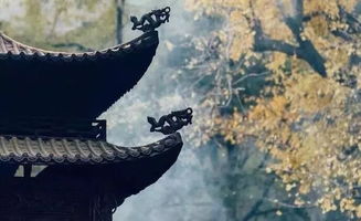 等他,詩(shī)句,回來(lái)