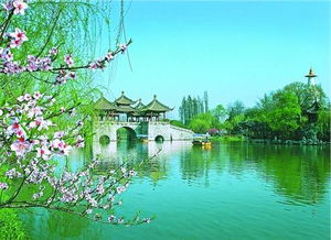 海邊風(fēng)景的詩(shī)句古詩(shī)