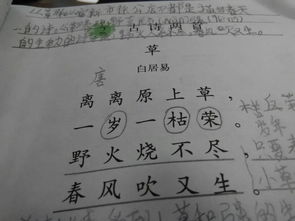 日字在古詩(shī)中當時(shí)候的意思講的詩(shī)句