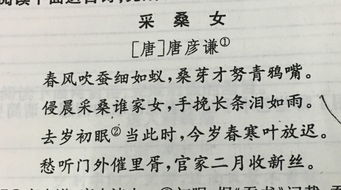 鑒賞自己寫(xiě)的古詩(shī)句