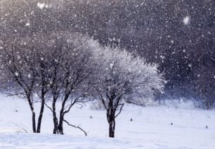 古詩(shī),詩(shī)句,大全,寫(xiě)雪美