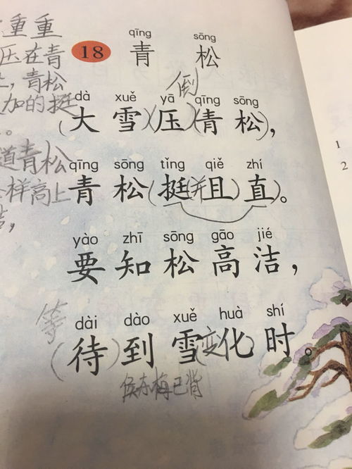 贊頌,詩(shī)句,品德