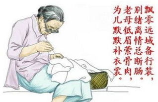 兩句,詩(shī)句,母親,有哪些