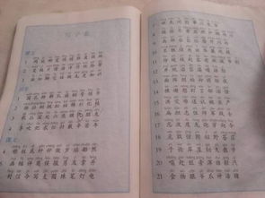 小學(xué)二級關(guān)于山的詩(shī)句