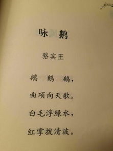 好的古詩(shī)句摘抄加詩(shī)意和賞析