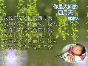 關(guān)于生命的詩(shī)句現代