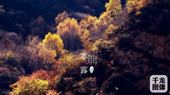 關(guān)于節氣景色的詩(shī)句