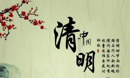 關(guān)于清明詩(shī)句600字