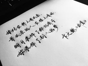 關(guān)于個(gè)人品質(zhì)的詩(shī)句