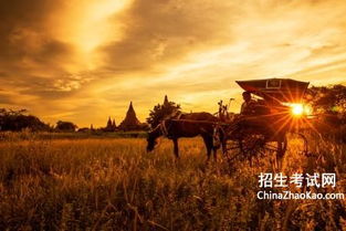 古詩(shī)中描寫(xiě)夕陽(yáng)詩(shī)句