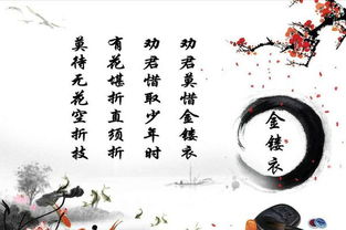青春的古詩(shī)詩(shī)句