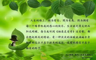 友誼,詩(shī)句,熱情