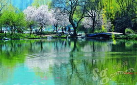 關(guān)于太湖茶葉的詩(shī)句