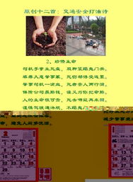 關(guān)于交通安全的詩(shī)句和名言,關(guān)于交通安全的詩(shī)句四句,關(guān)于交通安全的詩(shī)句現代