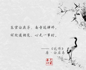 詩(shī)句,贊美,精神