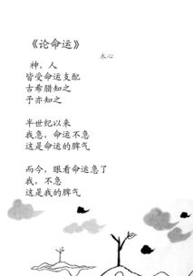 關(guān)于寫(xiě)命運的詩(shī)句