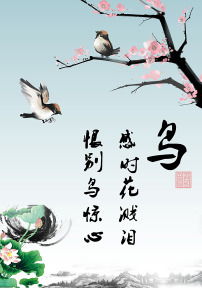 關(guān)于鳥(niǎo)古詩(shī)句子