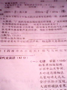 詩(shī)句,品德,體現