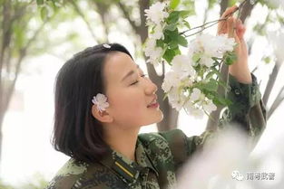 關(guān)于女子參軍的詩(shī)句