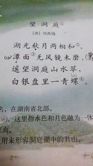 詩(shī)句,二字,帶有,春明