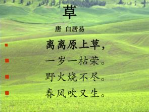 六級關(guān)于草詩(shī)句