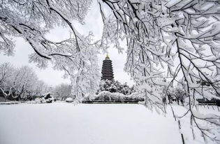 江南的雪的詩(shī)句古詩(shī)詞