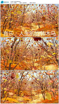 關(guān)于秋天楓葉的詩(shī)句詩(shī)朗誦