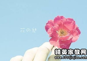 關(guān)于寂寞孤獨無(wú)聊的詩(shī)句