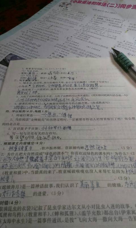 仿寫(xiě)與菊花有關(guān)的古詩(shī)句