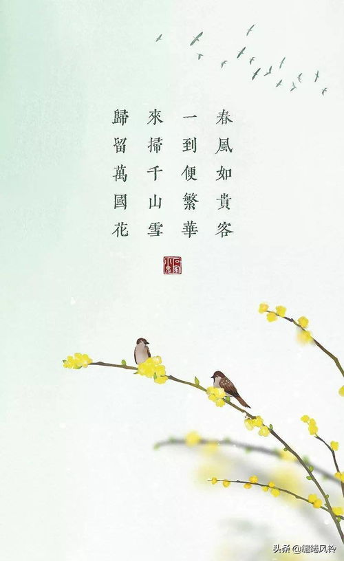 關(guān)于春天的風(fēng)的詩(shī)句古詩(shī)