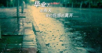 詩(shī)句,唯美,離別