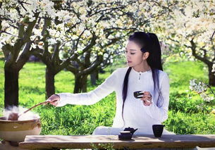 關(guān)于普洱茶的古詩(shī)句,形容普洱茶的美句,形容時(shí)光飛逝的古詩(shī)句