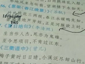 江河,詩(shī)句,詞語(yǔ)