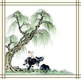 柳樹(shù)黃芽古詩(shī)句