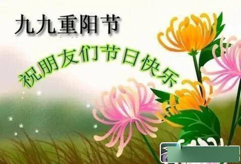 關(guān)于愛(ài)的詩(shī)句或名言,關(guān)于愛(ài)讀書(shū)的詩(shī)句,關(guān)于愛(ài)勞動(dòng)的詩(shī)句