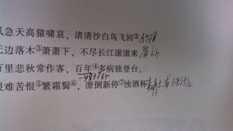 包涵,詩(shī)句,二字
