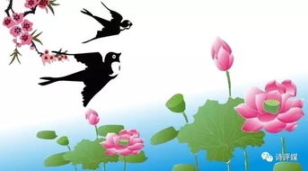 詩(shī)句,耀眼,衣服,特別