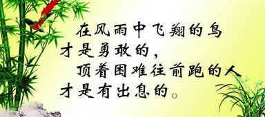 關(guān)于奮斗和幸福的詩(shī)句