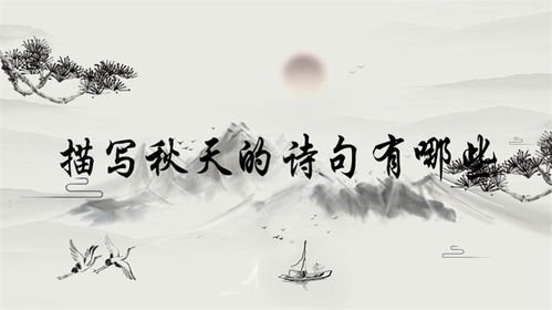 古詩(shī)詩(shī)句包括意思
