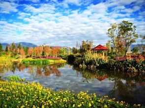 詩(shī)句,湖邊,風(fēng)景