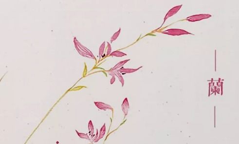 關(guān)于繡花的古詩(shī)句