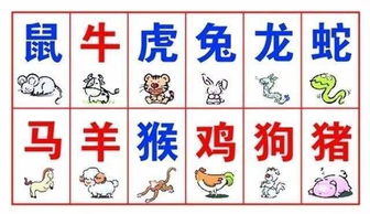 詩(shī)句,生肖