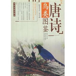 詩(shī)句,大全