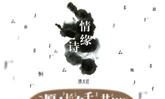 關(guān)于對方很重要的詩(shī)句